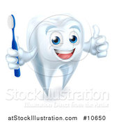 Vector Illustration of a Happy White Tooth Mascot Holding a Toothbrush and Giving a Thumb up by AtStockIllustration