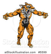 Vector Illustration of a Muscular Fierce Tiger Man Attacking by AtStockIllustration