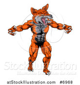 Vector Illustration of a Muscular Fox Man Mascot Lunching Forward to Attack by AtStockIllustration