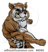 Vector Illustration of a Muscular Raccoon Man Mascot Punching from the Hips up by AtStockIllustration