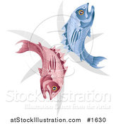 Vector Illustration of a Pink and Blue Pisces Fish with the Zodiac Symbol by AtStockIllustration