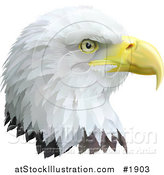 Vector Illustration of a Profiled Bald Eagle Head by AtStockIllustration