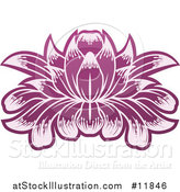 Vector Illustration of a Purple Blooming Lotus Flower by AtStockIllustration