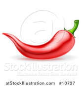 Vector Illustration of a Red Chile Pepper by AtStockIllustration