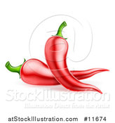 Vector Illustration of a Red Chile Peppers by AtStockIllustration