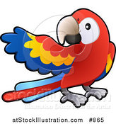 Vector Illustration of a Red, Yellow and Blue Scarlet Macaw Parrot Bird (Ara Macao) with a White Circle Around Its Eye by AtStockIllustration