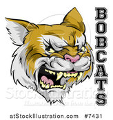 Vector Illustration of a Roaring Aggressive Bobcat Mascot Head and Text by AtStockIllustration