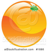 Vector Illustration of a Shiny Organic Orange by AtStockIllustration