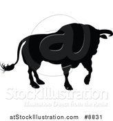 Vector Illustration of a Silhouetted Black Bull by AtStockIllustration