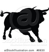 Vector Illustration of a Silhouetted Black Bull Charging by AtStockIllustration