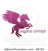 Vector Illustration of a Silhouetted Gradient Purple Rearing Pegasus Winged Horse and Sample Text by AtStockIllustration