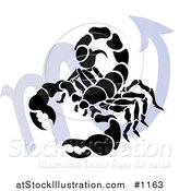 Vector Illustration of a Silhouetted Scorpion over a Blue Scorpio Astrological Sign of the Zodiac by AtStockIllustration