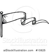 Vector Illustration of a Sketched or Etched Styled Black and White Scroll Banner by AtStockIllustration