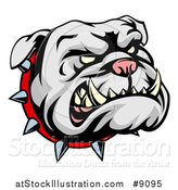 Vector Illustration of a Snarling Gray Bulldog Mascot Face with a Spiked Collar by AtStockIllustration