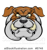 Vector Illustration of a Tough Bulldog Face by AtStockIllustration