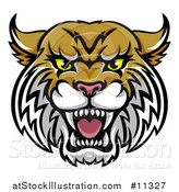 Vector Illustration of a Vicious Wildcat Mascot Head by AtStockIllustration