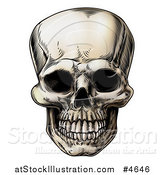 Vector Illustration of a Vintage Human Skull by AtStockIllustration