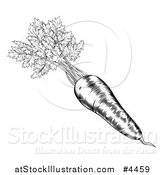 Vector Illustration of a Vintage Woodcut Styled Carrot with Greens by AtStockIllustration
