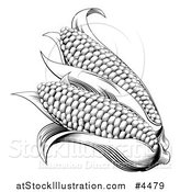 Vector Illustration of a Vintage Woodcut Styled Ears of Corn in Black and White by AtStockIllustration