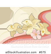 Vector Illustration of a White and Pink Flower Background by AtStockIllustration