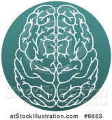 Vector Illustration of a White Human Brain in a Circle by AtStockIllustration