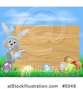 Vector Illustration of a Wood Sign, Gray Easter Bunny with Eggs Grass and Sky by AtStockIllustration