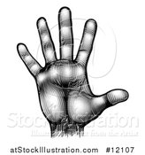 Vector Illustration of a Woodcut Black and White Hand by AtStockIllustration