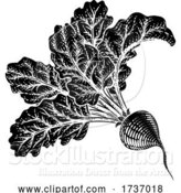 Vector Illustration of Beet Beetroot Vegetable Woodcut Illustration by AtStockIllustration