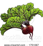 Vector Illustration of Beets Beetroot Vegetable Woodcut Illustration by AtStockIllustration
