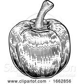 Vector Illustration of Bell Pepper Woodcut Vegetable Illustration by AtStockIllustration