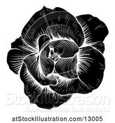 Vector Illustration of Black and White Engraved Rose Flower by AtStockIllustration