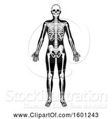 Vector Illustration of Black and White Human Skeleton by AtStockIllustration