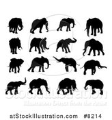 Vector Illustration of Black Silhouetted Elephants by AtStockIllustration