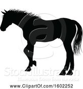 Vector Illustration of Black Silhouetted Horse by AtStockIllustration