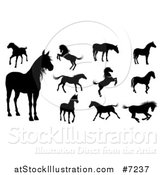 Vector Illustration of Black Silhouetted Horses by AtStockIllustration