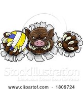 Vector Illustration of Boar Razorback Hog Volleyball Volley Ball Mascot by AtStockIllustration