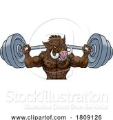 Vector Illustration of Boar Razorback Hog Weight Lifting Gym Mascot by AtStockIllustration