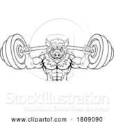 Vector Illustration of Boar Razorback Hog Weight Lifting Gym Mascot by AtStockIllustration