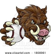 Vector Illustration of Boar Wild Hog Razorback Warthog Baseball Mascot by AtStockIllustration