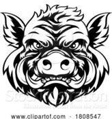 Vector Illustration of Boar Wild Hog Razorback Warthog Mascot Pig by AtStockIllustration