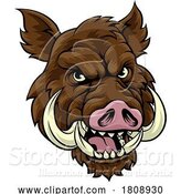 Vector Illustration of Boar Wild Hog Razorback Warthog Mascot Pig by AtStockIllustration