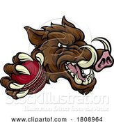 Vector Illustration of Boar Wild Hog Razorback Warthog Pig Cricket Mascot by AtStockIllustration