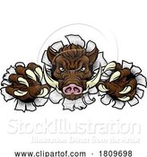 Vector Illustration of Boar Wild Hog Razorback Warthog Pig Sports Mascot by AtStockIllustration