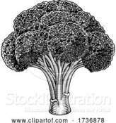 Vector Illustration of Broccoli Vegetable Vintage Woodcut Illustration by AtStockIllustration