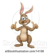 Vector Illustration of Brown Easter Bunny Rabbit Giving Two Thumbs up by AtStockIllustration