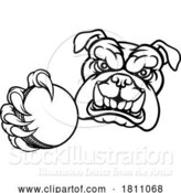 Vector Illustration of Cartoon Bulldog Dog Animal Cricket Ball Sports Mascot by AtStockIllustration