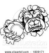 Vector Illustration of Cartoon Bulldog Dog Animal Tennis Ball Sports Mascot by AtStockIllustration