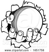 Vector Illustration of Cartoon Cricket Ball Hand Tearing Background by AtStockIllustration