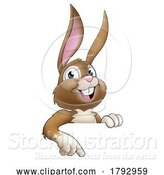 Vector Illustration of Cartoon Easter Bunny Rabbit Character Peeking Sign by AtStockIllustration