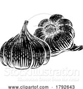 Vector Illustration of Cartoon Garlic by AtStockIllustration